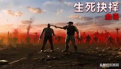 荒鸟生死最强阵容搭配(闪烁之光最强阵容)