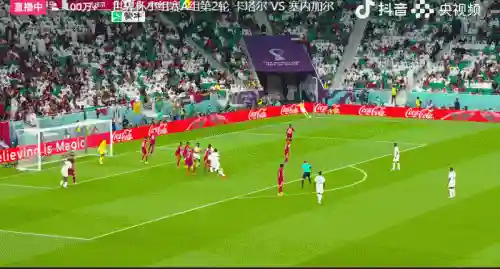 塔卡尔塞内加尔(比卡内尔)插图4