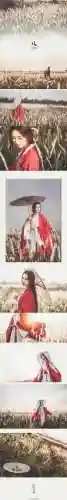 庄园魅影搭配阵容攻略图(玛尔斯之殿阵容搭配推荐)插图5
