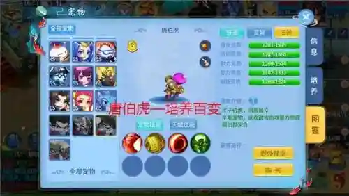 天书奇谈侠客完美加点(天书奇谈人物加点一览表)插图3