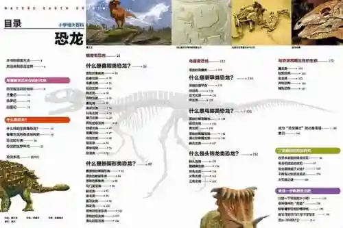 儿童认识恐龙图片(恐龙名称大全及图片)插图2