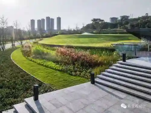 土丘五个打野阵容搭配(王者阵容搭配大全五黑)插图18 土丘五个打野阵容搭配(王者阵容搭配大全五黑)插图18