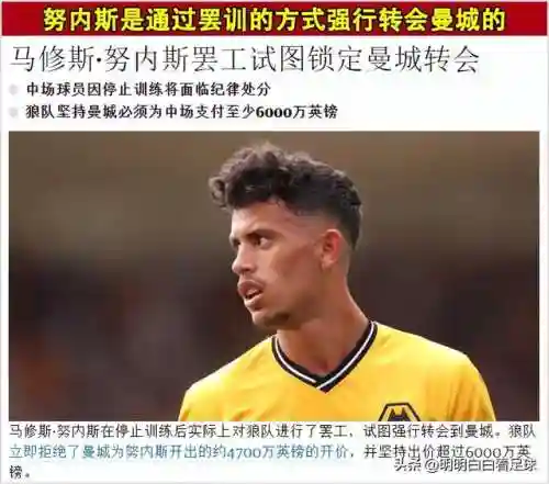 狼队摆烂阵容搭配(沙暴队最强阵容搭配)插图5