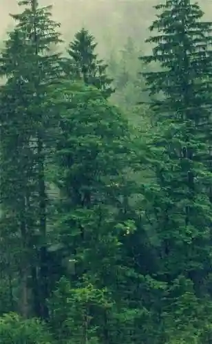 超好看的手机壁纸图片(手机壁纸图片女生专用)插图5 超好看的手机壁纸图片(手机壁纸图片女生专用)插图5