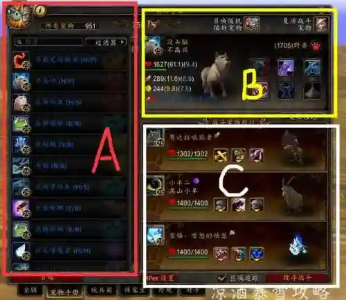 魔兽世界宠物对战怎么玩(wow宠物对战升级攻略)插图1