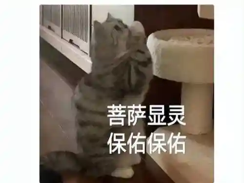魔兽世界积分商城(魔兽世界中国官网)