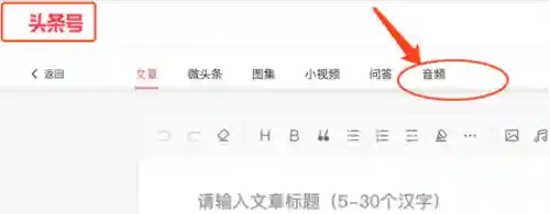 疯狂钻石配音阵容搭配(配音)插图7