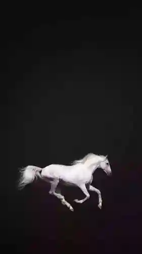 苹果手机壁纸高清(壁纸高清全屏高级感)
