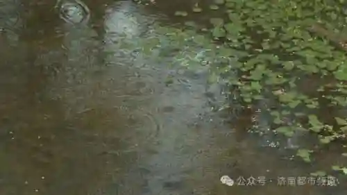 今晚解封最新消息(今天高速路口解封了吗?)插图2 今晚解封最新消息(今天高速路口解封了吗?)插图2