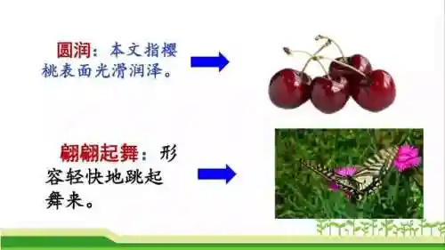 奇妙的近义词(奇妙的近义词是什么(最佳答案))插图16