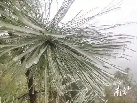 天气预报查询一周15天(城市天气预报)插图8