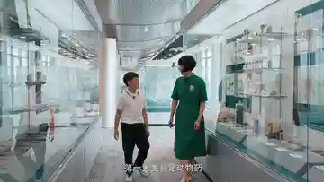 彼岸之声阵容配置搭配最新(星之彼岸怎么组合最强)插图2