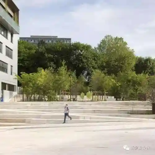 土丘五个打野阵容搭配(王者阵容搭配大全五黑)插图55 土丘五个打野阵容搭配(王者阵容搭配大全五黑)插图55