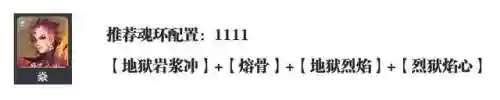 魂师对决火烧阵容搭配(魂师对决最强阵容T0火队)插图7