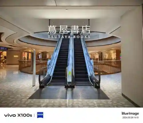 原神夜览搭配阵容(原神深渊最强阵容)插图25