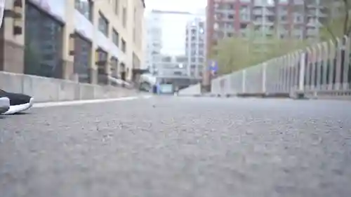 功夫跑酷阵容搭配图片(天天酷跑目前最强搭配)插图15