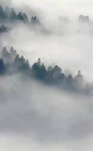 超好看的手机壁纸图片(手机壁纸图片女生专用)插图9 超好看的手机壁纸图片(手机壁纸图片女生专用)插图9