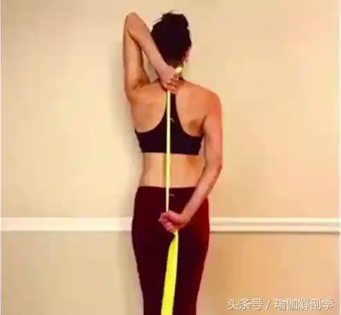 豪华瑜伽导师阵容搭配攻略(女神联盟土豪阵容搭配)插图11