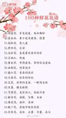 所有花语大全(花语经典语录)插图3