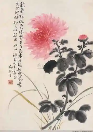 海上大师最强阵容搭配图片(航海王强者之路最佳阵容)