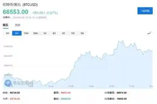 杭州女子花300万买比特币(2024十大潜力虚拟币)插图1