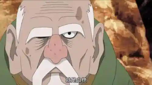 白绝首领阵容搭配攻略(白藏主一套很强的阵容)插图3