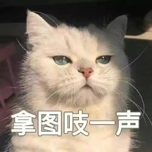 英雄联盟壁纸高清全屏(英雄联盟视频素材库)插图30