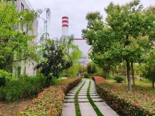 洛克王国卡秋莎绝版了吗(洛克王国手游官网)