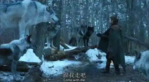 三王船长阵容搭配图解(海洋王国最强阵容搭配)插图10