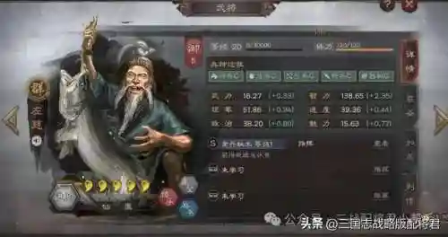 白板阵容队伍搭配最新(三国志战略版白板最强队伍排名)