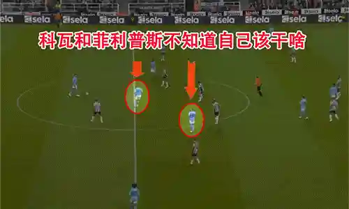 狼队摆烂阵容搭配(沙暴队最强阵容搭配)插图1