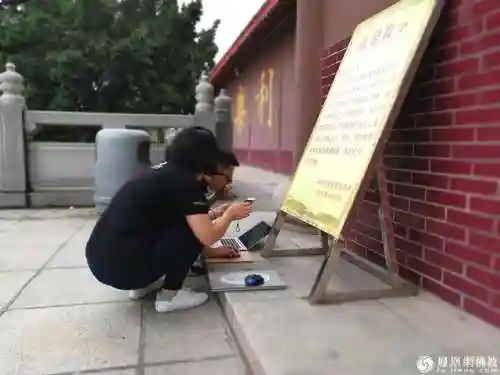 凤鸣麟出的阵容有哪些搭配(麒麟阵容搭配最高输出)插图11