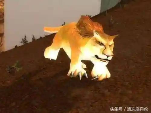 永久60服猎人宝宝排行(猎人最稀有的宝宝排行)插图8