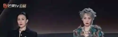 乘风破浪的姐姐第四季(浪姐4季成员名单)