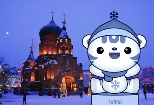 吉祥雪人阵容搭配图(雪天队最强配置)插图15