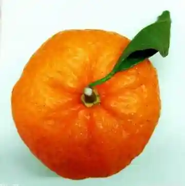 哪些人容易得克罗恩病(克罗恩中医第一人)