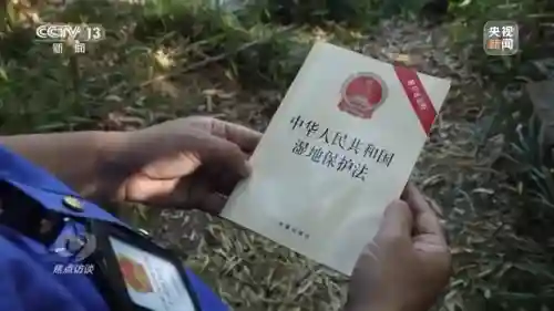 体球网手机比分(体球网足球官网)插图16