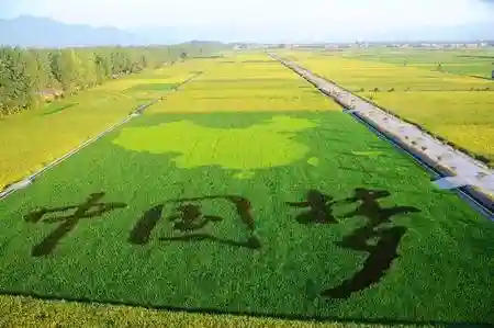 经典网络小说排行榜前十名(最好的小说软件排名第一)插图5