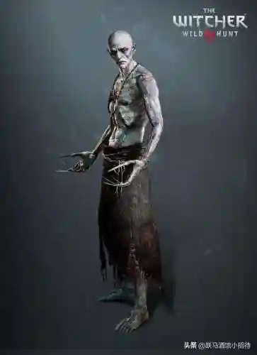 巫师猎魔人 阵容搭配推荐(多多自走棋堕落猎魔人阵容)插图18