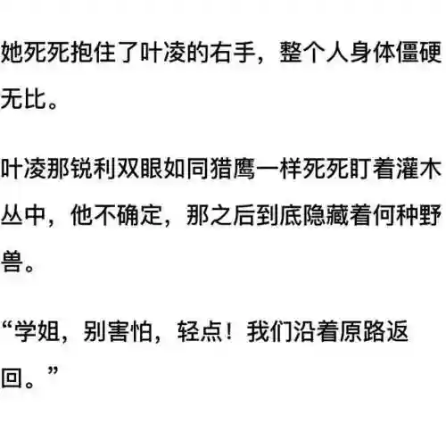 我和七个女神在荒岛求生(和女神们流落荒岛我为王免费阅读)插图41