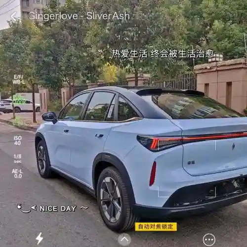 天选森林大树阵容搭配(大树头森林餐厅)