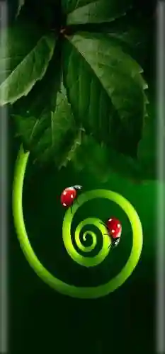 超呆萌可爱卡通图片(图片头像)插图2