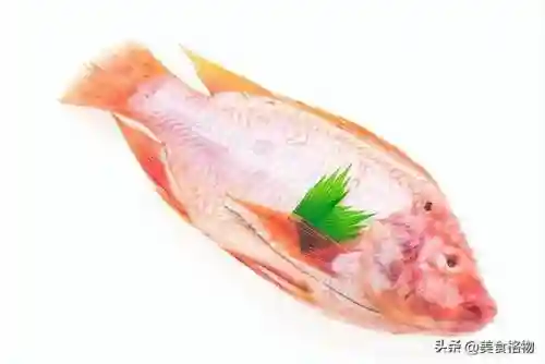 5种公认最好吃的海鱼(最好吃海鱼排名)插图2