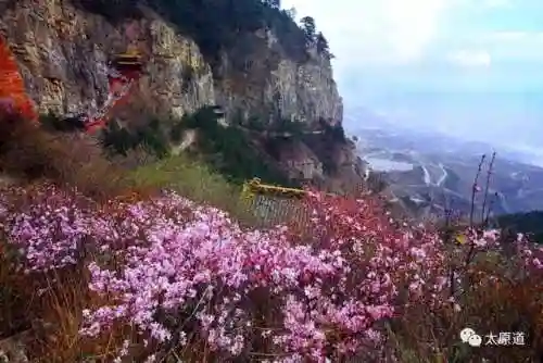 群飞刘亦菲刘诗诗杨幂杨颖(刘亦菲刘诗诗杨幂杨颖电视剧上映时间)插图15
