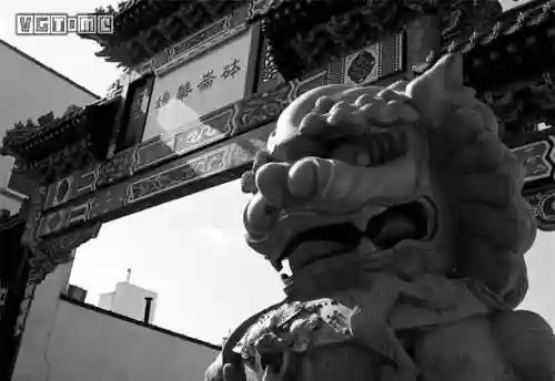 积木修罗王怎么搭配阵容(佐罗冈布奥阵容搭配)插图2