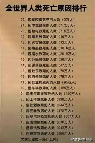 本山徒弟阵容搭配图表(大唐好徒弟最强5大阵容)插图15