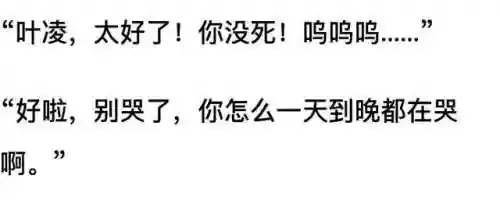我和七个女神在荒岛求生(和女神们流落荒岛我为王免费阅读)插图63