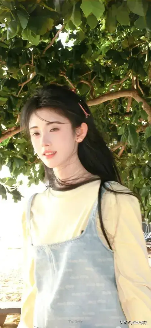 还珠格格3阵容搭配(还珠格格第三部电视剧演员表)插图2