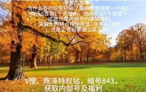 妖刀竞速新手阵容搭配攻略(妖刀姬配合什么阵容)插图1