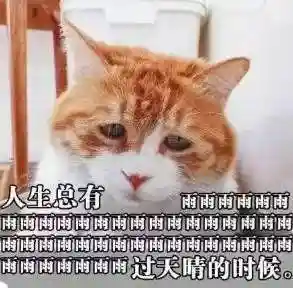 台风实时动态(实时台风路径下载安装)插图6 台风实时动态(实时台风路径下载安装)插图6